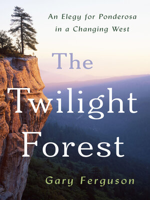 cover image of The Twilight Forest